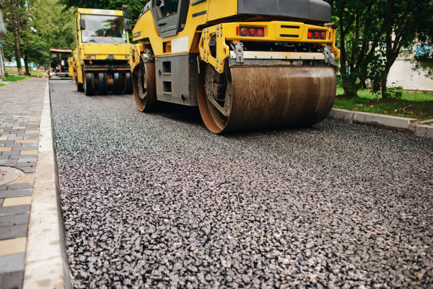 Best Local Driveway Pavers  in Harrington, DE